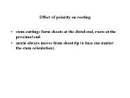 Effect of polarity on rooting