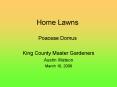 Home Lawns Poaceae Domus PowerPoint PPT Presentation