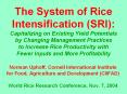 The System of Rice Intensification (SRI): Capitalizing on Existing Yield Potentials by Changing Management Practices    to Increase Rice Productivity with Fewer Inputs and More Profitability PowerPoint PPT Presentation