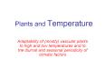Plants and Temperature PowerPoint PPT Presentation
