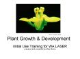 Plant Growth & Development PowerPoint PPT Presentation