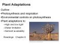 Plant Adaptations PowerPoint PPT Presentation