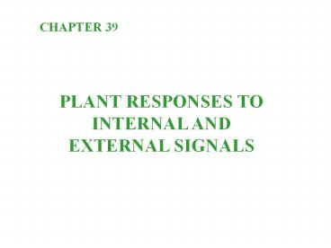 Nerve activates contraction