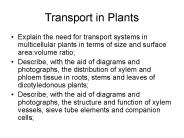Transport in Plants