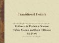 Transitional Fossils PowerPoint PPT Presentation