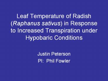 Leaf Temperature of Radish (Raphanus sativus) in Response to