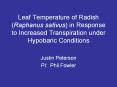 Leaf Temperature of Radish (Raphanus sativus) in Response to PowerPoint PPT Presentation