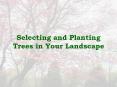 Selecting and Planting Trees in Your Landscape PowerPoint PPT Presentation