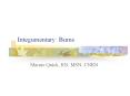 Integumentary: Burns PowerPoint PPT Presentation