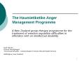 The Haumietiketike Anger Management Programme A New Zealand PowerPoint PPT Presentation