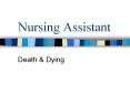 Nursing Assistant PowerPoint PPT Presentation