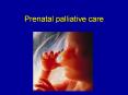 Prenatal palliative care PowerPoint PPT Presentation