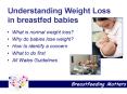 Understanding Weight Loss in breastfed babies PowerPoint PPT Presentation