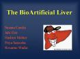 The BioArtificial Liver PowerPoint PPT Presentation