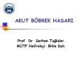 AKUT BЦBREK HASARI PowerPoint PPT Presentation