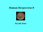 Human Herpesvirus-8