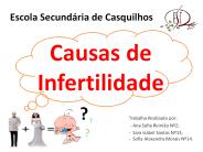 Trabalho Realizado por