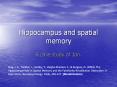 Hippocampus and spatial memory PowerPoint PPT Presentation