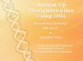 Bottom-Up Microfabrication Using DNA PowerPoint PPT Presentation