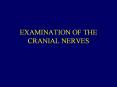 EXAMINATION OF THE CRANIAL NERVES PowerPoint PPT Presentation