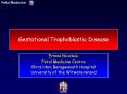Gestational Trophoblastic Disease Ermos Nicolaou Fetal PowerPoint PPT Presentation