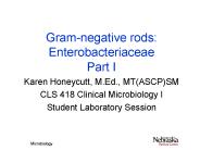 Gram-negative rods: Enterobacteriaceae Part I