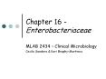 Chapter 16 - Enterobacteriaceae PowerPoint PPT Presentation