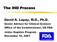 The IND Process PowerPoint PPT Presentation