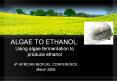ALGAE TO ETHANOL: Using algae fermentation to produce ethanol PowerPoint PPT Presentation