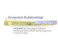 Ecosystem Relationships PowerPoint PPT Presentation