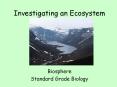 Investigating an Ecosystem PowerPoint PPT Presentation