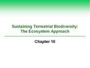 Sustaining Terrestrial Biodiversity: The Ecosystem Approach