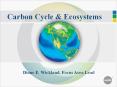 Carbon Cycle PowerPoint PPT Presentation
