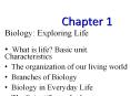 Biology: Exploring Life PowerPoint PPT Presentation