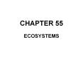 ECOSYSTEMS PowerPoint PPT Presentation