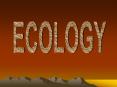 ECOLOGY PowerPoint PPT Presentation