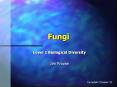 Fungi PowerPoint PPT Presentation