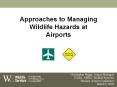 Approaches to Managing Wildlife Hazards at Airports PowerPoint PPT Presentation