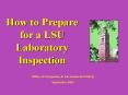 Lab Inspection Guide  PowerPoint PPT Presentation