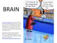 BRAIN