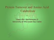 Chem 454: Biochemistry II