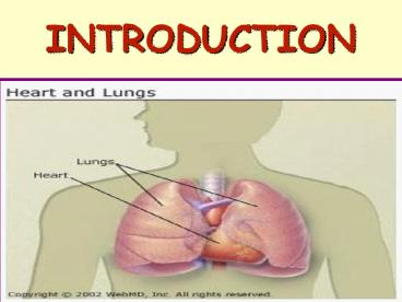The Oxygen Transport System