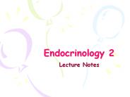 Endocrinology 2