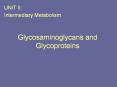 Glycosaminoglycans and Glycoproteins PowerPoint PPT Presentation
