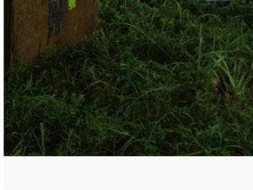 Neurobiology of Trauma J. Douglas Bremner, MD Emory