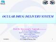 Prof. Dr. Basavaraj K. Nanjwade M. Pharm., Ph.D PowerPoint PPT Presentation