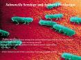 ...Salmonella infection arising from contaminated food continues to be an immense problem with millions of cases occurring annually PowerPoint PPT Presentation