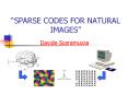 SPARSE CODES FOR NATURAL IMAGES PowerPoint PPT Presentation