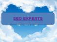 Hire Dedicated Seo Expert PowerPoint PPT Presentation