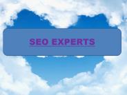 Hire Dedicated Seo Expert